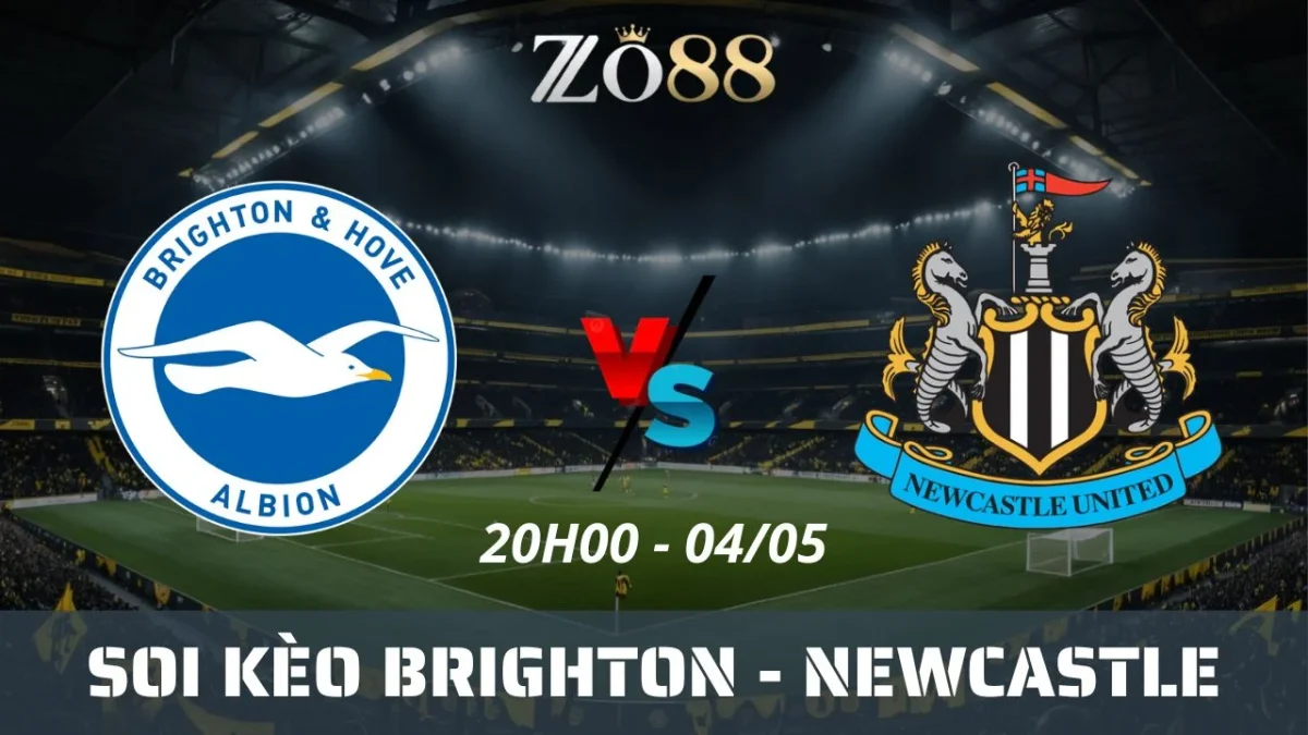 Soi kèo nhà cái Brighton vs Newcastle, 04/05/2025 20h00 Ngoại hạng Anh